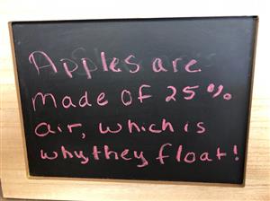 apples 
