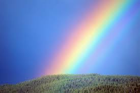 rainbow 